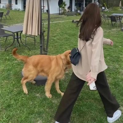 玫瑰匠人